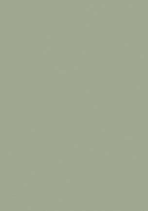 LX-ColourCollection-Bayleaf-304x434