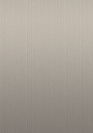Brushed Stainless Steel