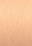 Copper Brush