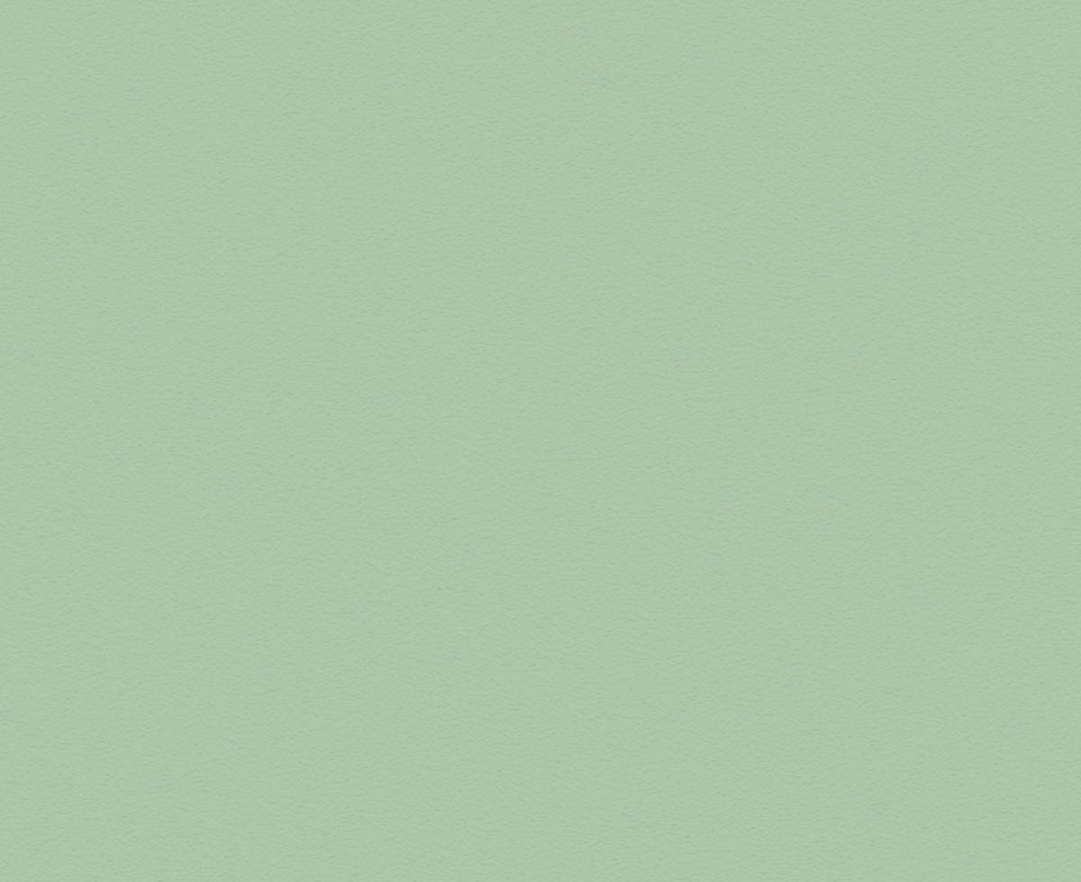 Enamel