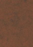 Korten